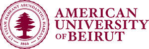 AUB Online Graduate Scholarships 2026 for African Students pursuing fully funded online master's degrees