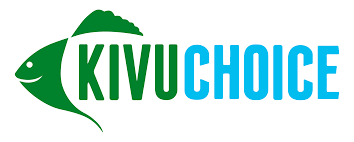 CCTV Surveillance Operator at Kivu Choice Ltd Rwanda 2026