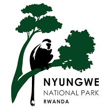 Nyungwe Management Company Ltd is recruiting Forest Restoration Team Leaders in Rwanda